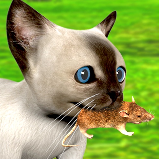 Kitten Cat Simulator 2016: Best pet simulation of mouse and cat game for kids iOS App