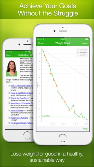online food journal