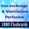 Gas Exchange & Ventilation Perfusion 1880 Quizzes