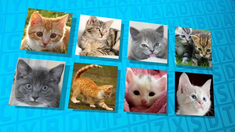 Wordsearch Revealer Kittens screenshot-4