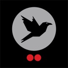 Top 14 Entertainment Apps Like TwoDots Raven - Best Alternatives