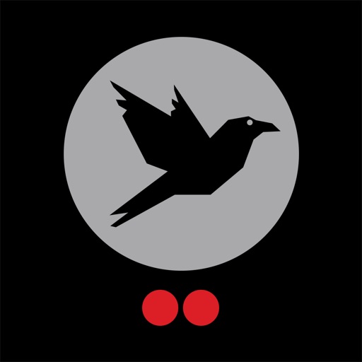 TwoDots Raven iOS App