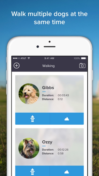 PetPath - Peace of Mind for Dog Walkers & Owners