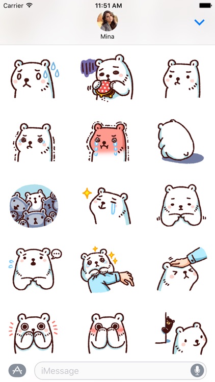 Bac Bac Diary Stickers