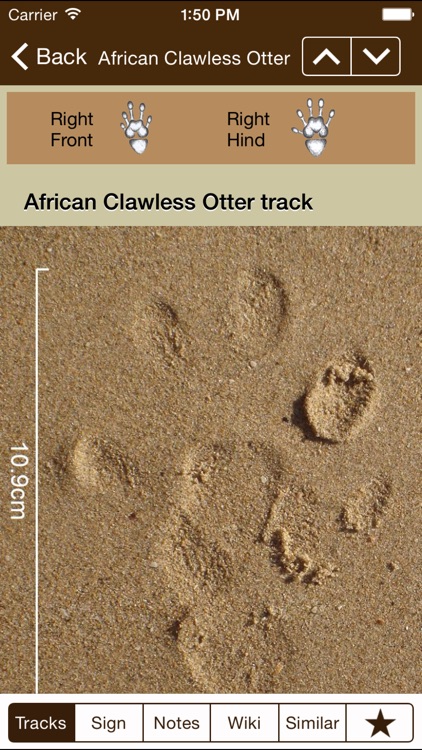 iTrack Africa