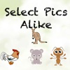 Select Pics Alike