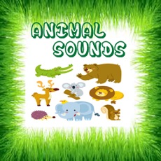 Activities of Real Animal Sounds and Pictures for Toddlers
