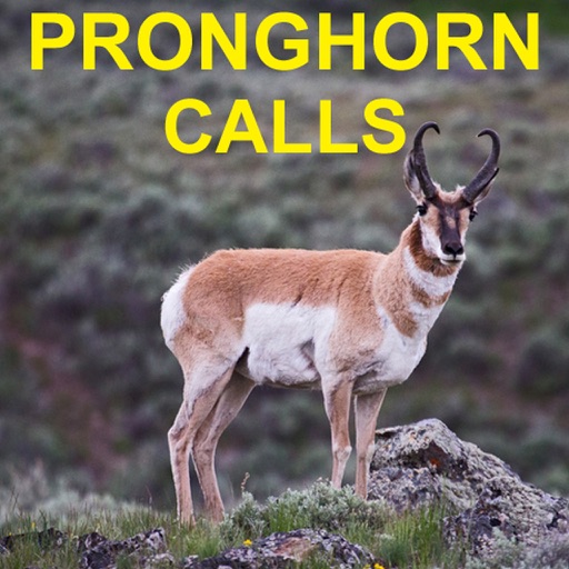 Pronghorn Hunting Calls & Big Game Calls iOS App