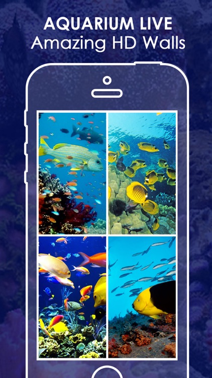Live Aquarium HD Wallpapers | Backgrounds