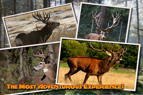 Big Game Wild Deer Hunting 3D Hunter 2016 screenshot 4