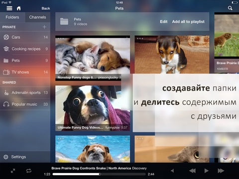 OrganizeTube for iPad screenshot 2
