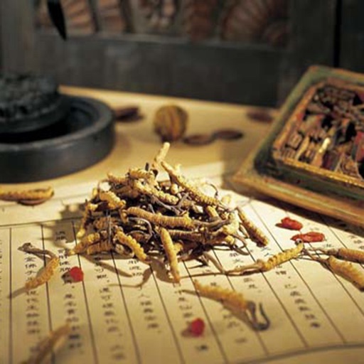 Chinese Medicine-Health Treatment Guide