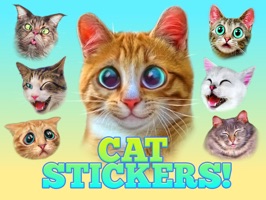 Cute Cat Stickers