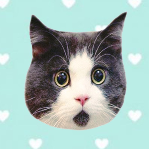Cute cat with emotion face sticker pack icon
