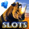 Icon Rhino Gold Slot Game - FREE