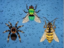 Have a little fun placing a bug sticker on a message :)