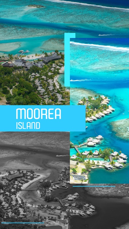 Moorea Island Tourism Guide