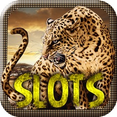 Activities of Leopard Slot Machines – Big Win Casino