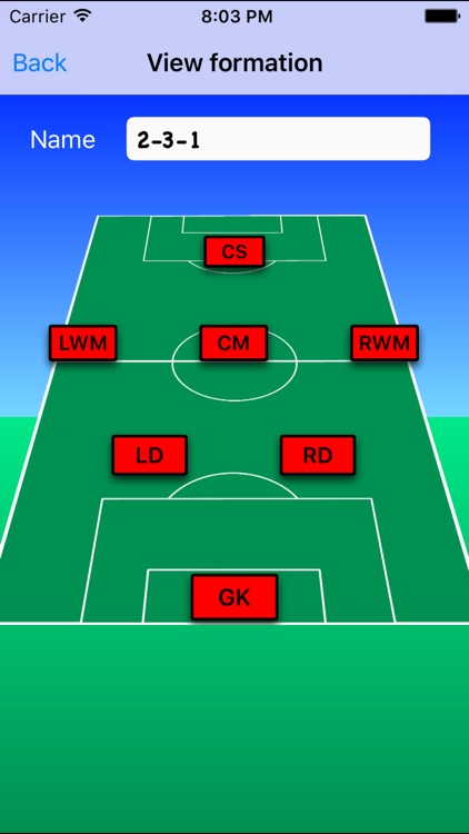 Youth Soccer Lineup