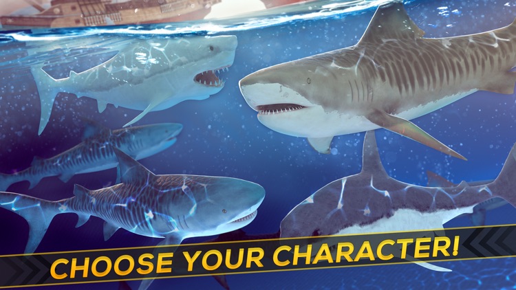 Shark Survival | Great Water World Evolution Game For Free