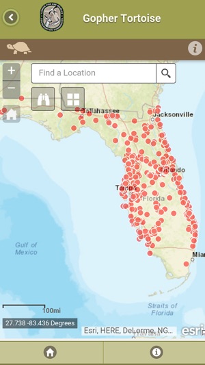 Florida Gopher Tortoise(圖1)-速報App