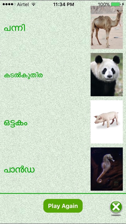 FlashCards Malayalam Lesson screenshot-3