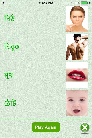 Flashcards Bengali Lesson screenshot 3