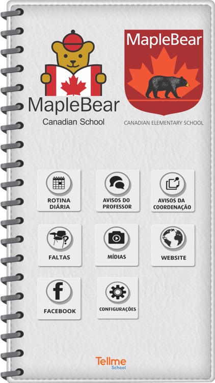 Maple Bear São Luís