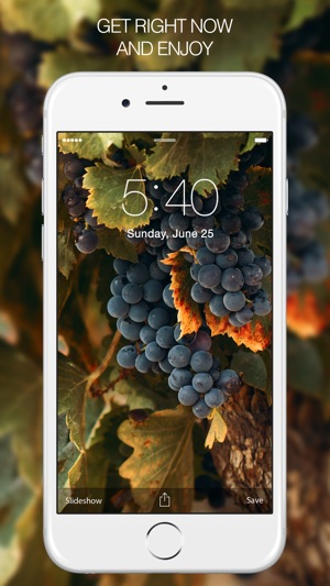 Fruit Wallpapers – Apple Wallpaper & Fruit Gallery(圖5)-速報App