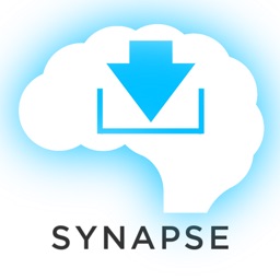 US History Synapse