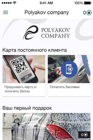 Polyakov company screenshot 2