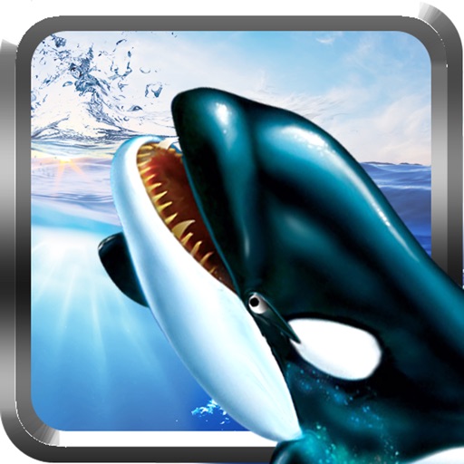 Orca Whale Simulator 3D icon