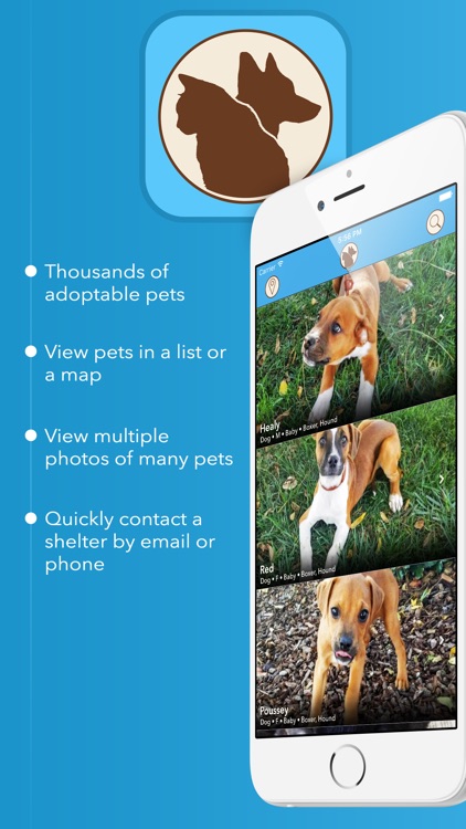 coMpanion - Pet Finder and Adoption Assistant
