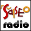 Salseo-Radio
