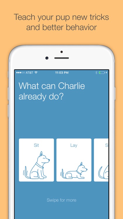 Pooch - your personal dog trainer