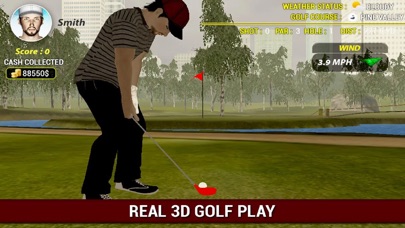 Professional Golf Pla... screenshot1