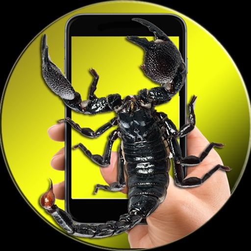 Scorpion On Hand Screen Photo