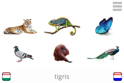 Baby Learn - HUNGARIAN screenshot 4
