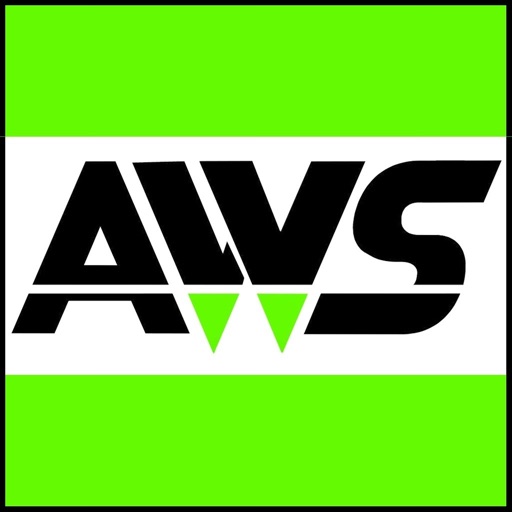 AWS Wireless Icon