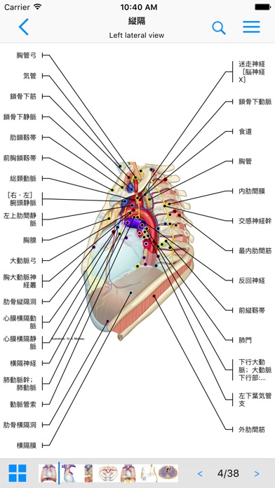 IMAIOS e-Anatomyのスクリーンショット1 IMAIOS e-Anatomyのスクリーンショット1