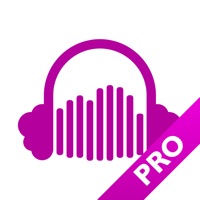 CloudPlayer Pro - audio player from clouds PC 용