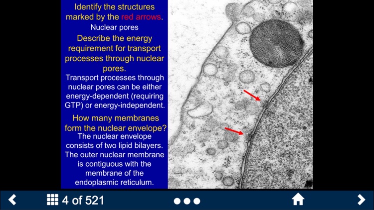 Histology Complete - SecondLook