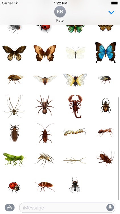 Insect Stickers