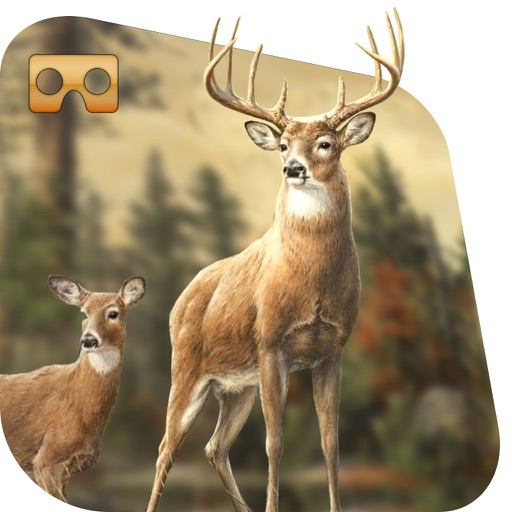 VR Jungle Adventure Story : Real Amazing Game Icon