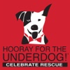 Hooray For The Underdog!
