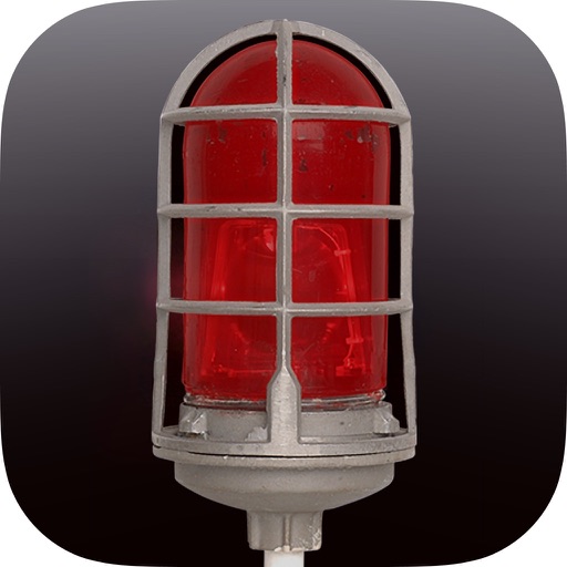 BAUER Goal Light Icon