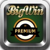 21 Spin Reel Incredible Las Vegas - Big Win!!