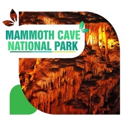 Mammoth Cave National Park Travel Guide