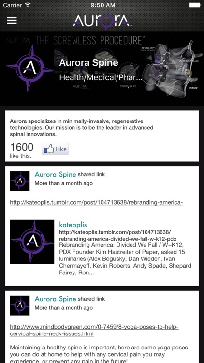 Aurora Spine - Simplifying the Complex screenshot-4