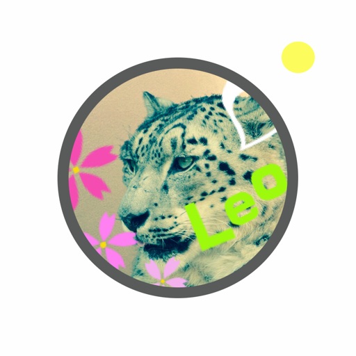 leopardCamera icon